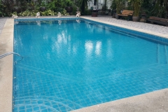 demo03_ninenic_com_0006_1_8_img_4808